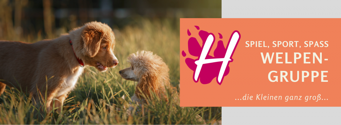 Welpenfrüherziehung