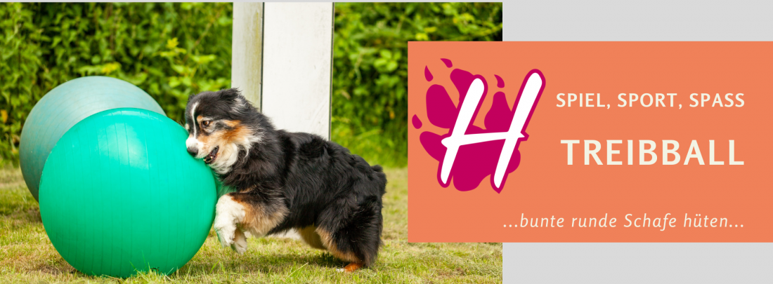 Treibball