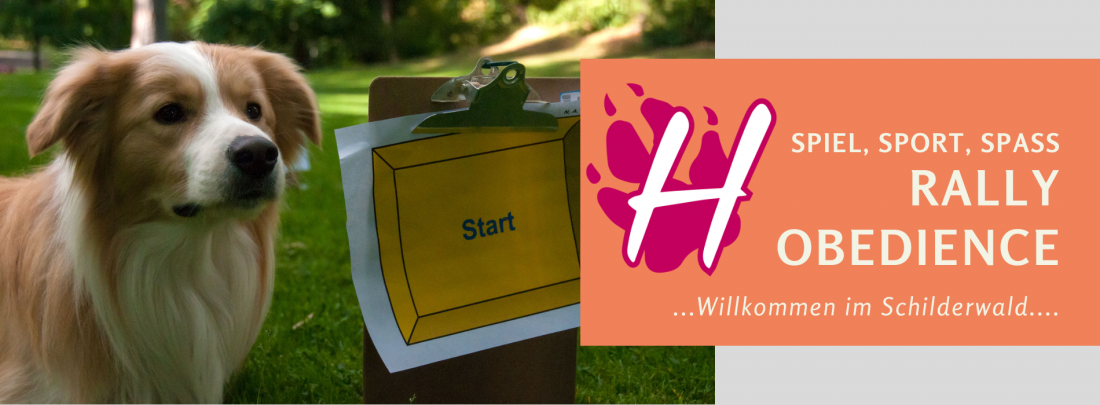 Rally Obedience