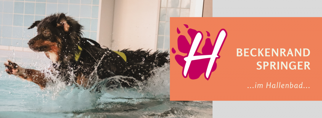 Hundeschwimmen 2025 - für Beckenrandspringer