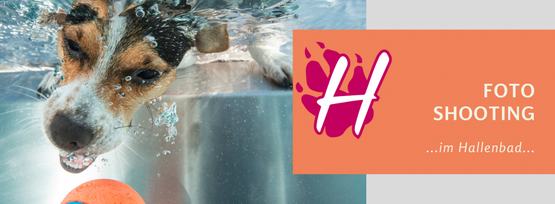 Hundeschwimmen 2025 - Unterwassershooting