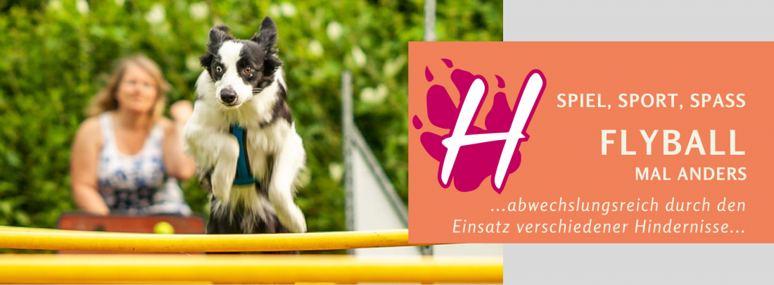 Flyball - aber anders!