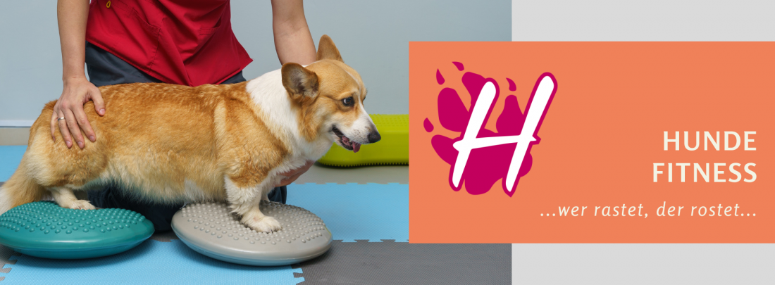 Hunde - Fitness