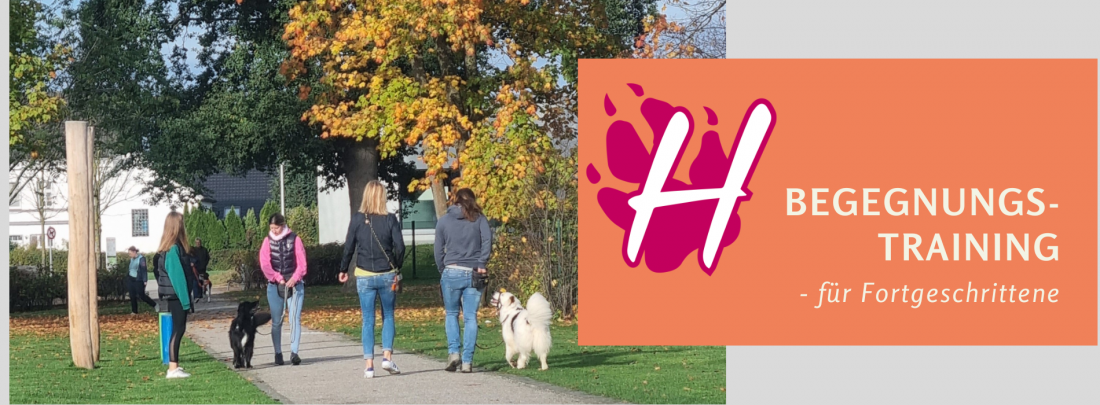 Begegnungstraining - für Fortgeschrittene