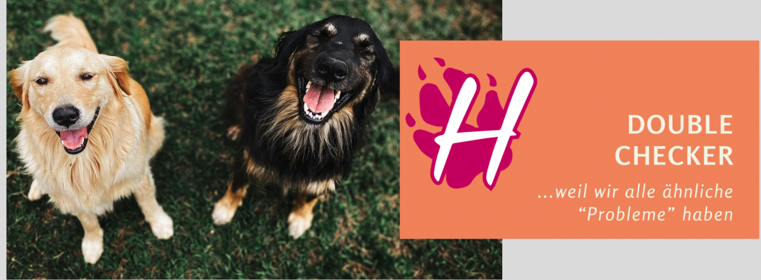 Double Checker - individuelles Training in Zweier-Teams