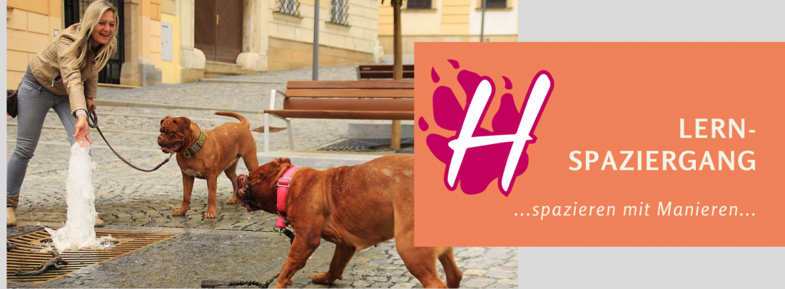 Lernspaziergang - Spazieren mit Manieren